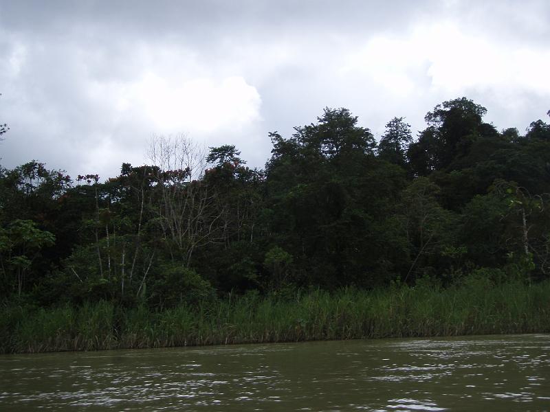 Colombia 2012 (24).JPG